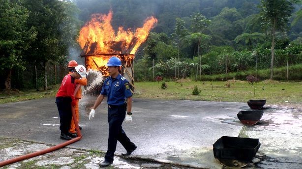 Bencana Kebakaran Hutan Hantui Tiga Kecamatan di Selatan Sukabumi