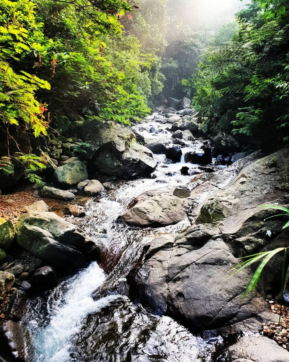 10 Tempat Wisata Horor di Bogor, Pesona Alamnya Tetap Indah 