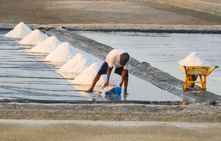 Kritik Kebijakan Impor Garam, Pustek UGM: Pemerintah Cuma Reaktif