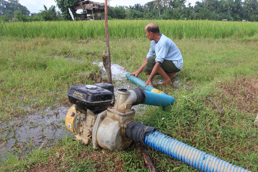8 Kecamatan di Tangerang Rawan Kekeringan Dampak El Nino