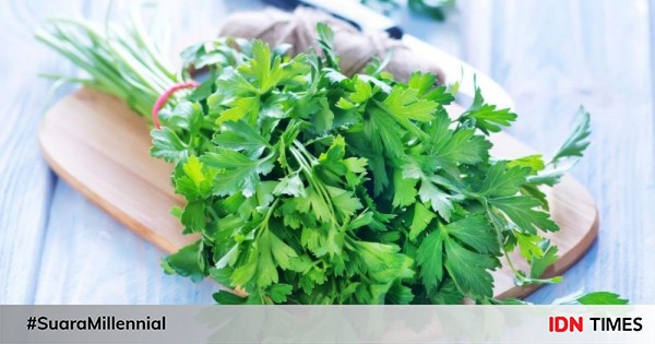7 Manfaat Parsley Untuk Kesehatan Dapat Membersihkan Ginjal