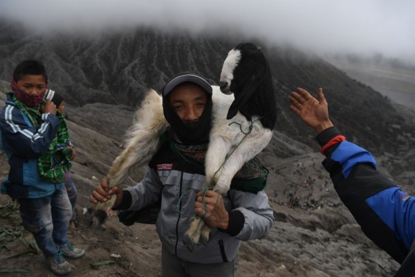 Fakta Unik Yadnya Kasada, Ritual Sakral Khas Suku Tengger