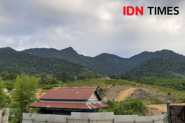 Bukit Soeharto Dinilai Lebih Potensial dan Strategis Jadi Ibu Kota