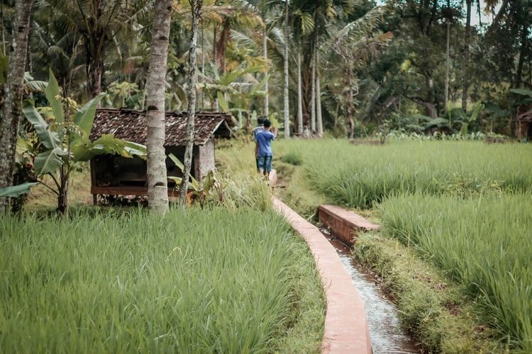 Penuh Sejarah, 7 Hal Unik Storytelling Sisingamangaraja di Bakkara