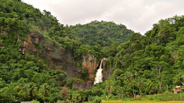 Untuk Keempat Kalinya Geopark Ciletuh Dilanda Peristiwa Kebakaran