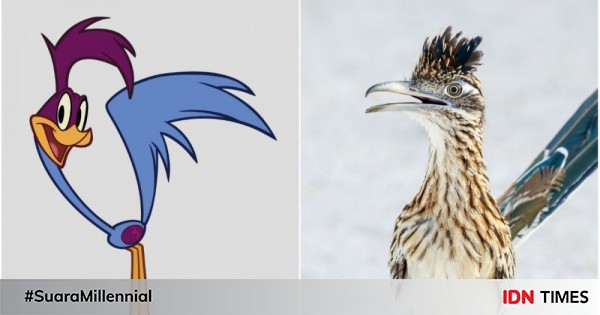 5 Fakta Tentang Roadrunner, Burung Tercepat dalam Kartun Looney Tunes