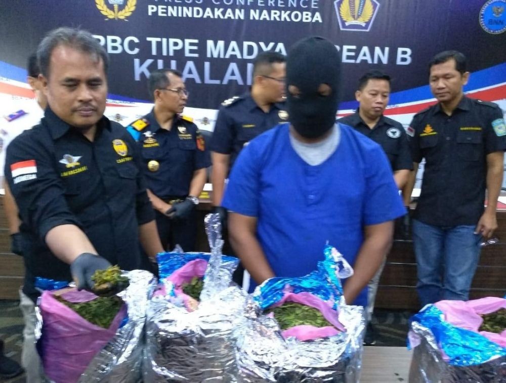 Beberapa Fakta tentang Upaya Peredaran Narkotika Daun Khat di Sumut