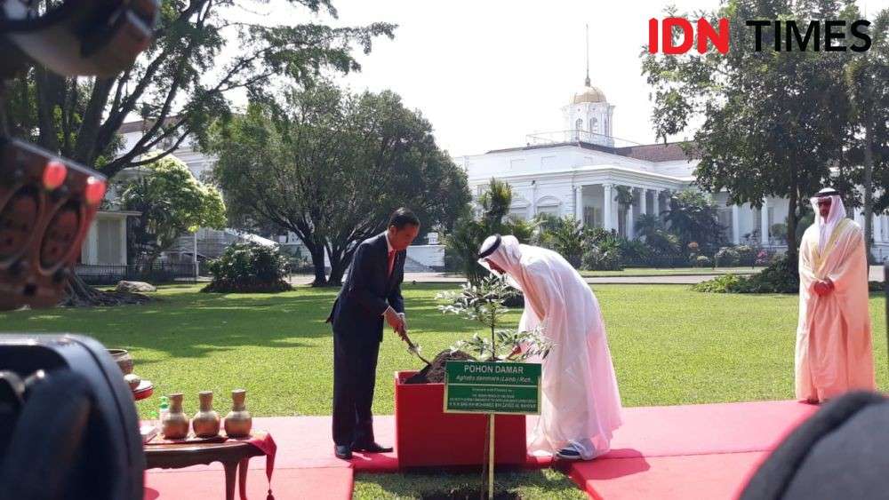 Ini 12 Perjanjian Hasil Pertemuan Jokowi Dan Pangeran Uni Emirat Arab