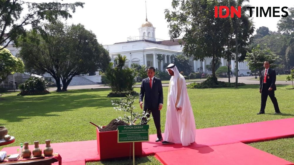FOTO: Presiden Jokowi dan Putra Mahkota UEA Tanam Pohon Damar Bersama