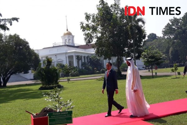 FOTO: Presiden Jokowi dan Putra Mahkota UEA Tanam Pohon Damar Bersama