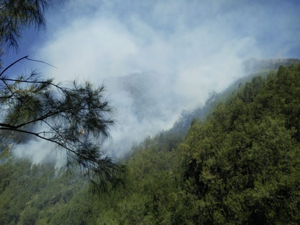Sudah Padam, Kebakaran di Gunung Panderman Capai 70 Hektare 