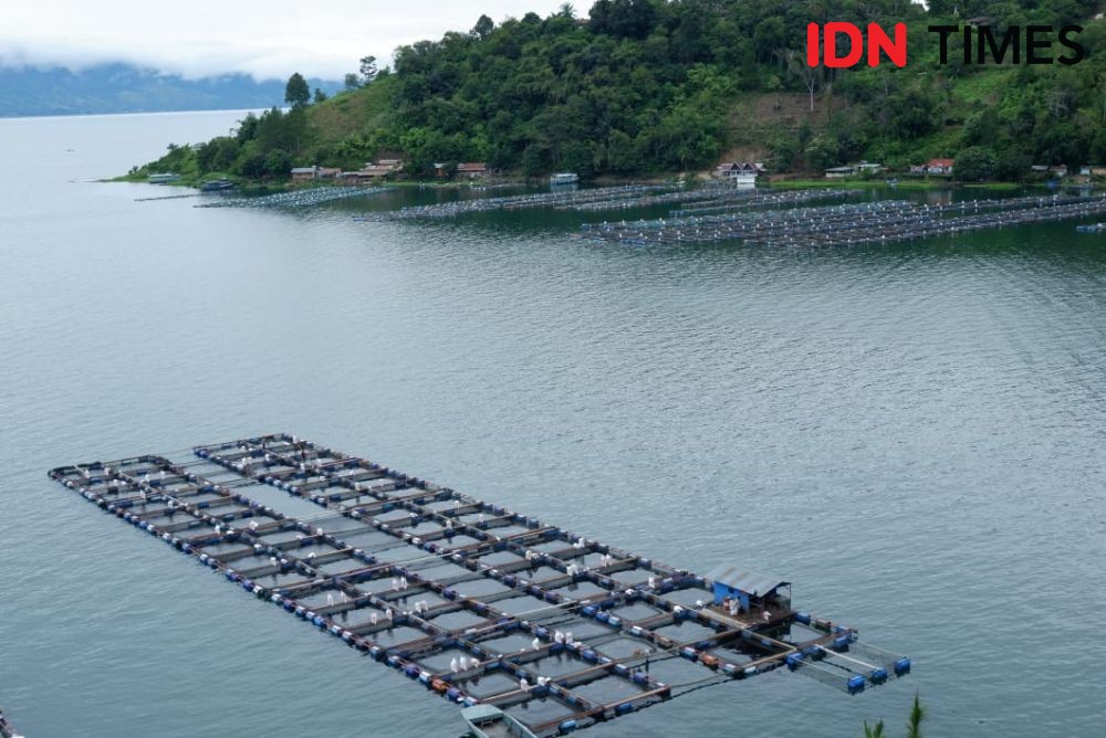 Jokowi Bakal Cabut Izin Perusahaan Perusak Danau Toba? Ini Jawabannya