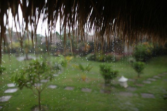 7 Fakta Hujan di Indonesia, Apakah Intensitasnya Tertinggi di Dunia?