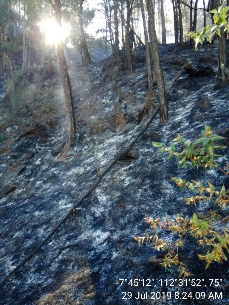 Kebakaran Gunung Arjuno Dipadamkam, BPBD Masih Pantau Titik Api