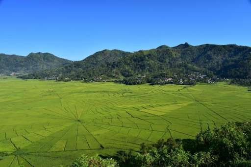 Pasti Luluh! Ini 5 Tempat yang Pas untuk Melamar Sang Pelabuhan HatiÂ 