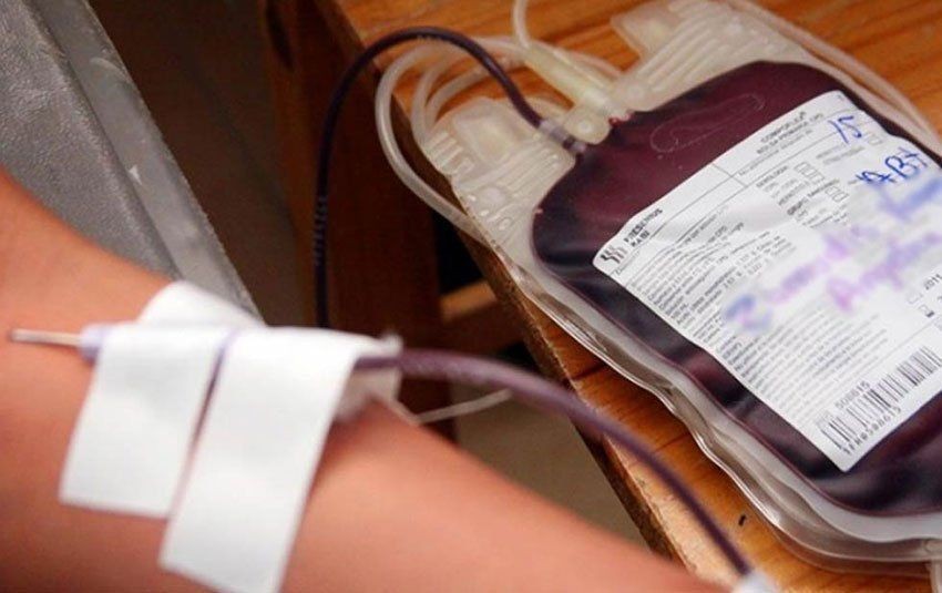 Antisipasi Demam Berdarah, PMI Balikpapan Pastikan Stok Darah Aman