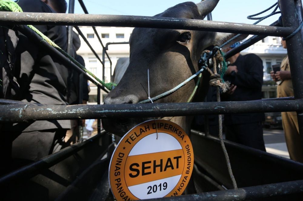 Wali Kota Bandung Imbau Panitia Kurban Tak Gunakan Kantong Kresek