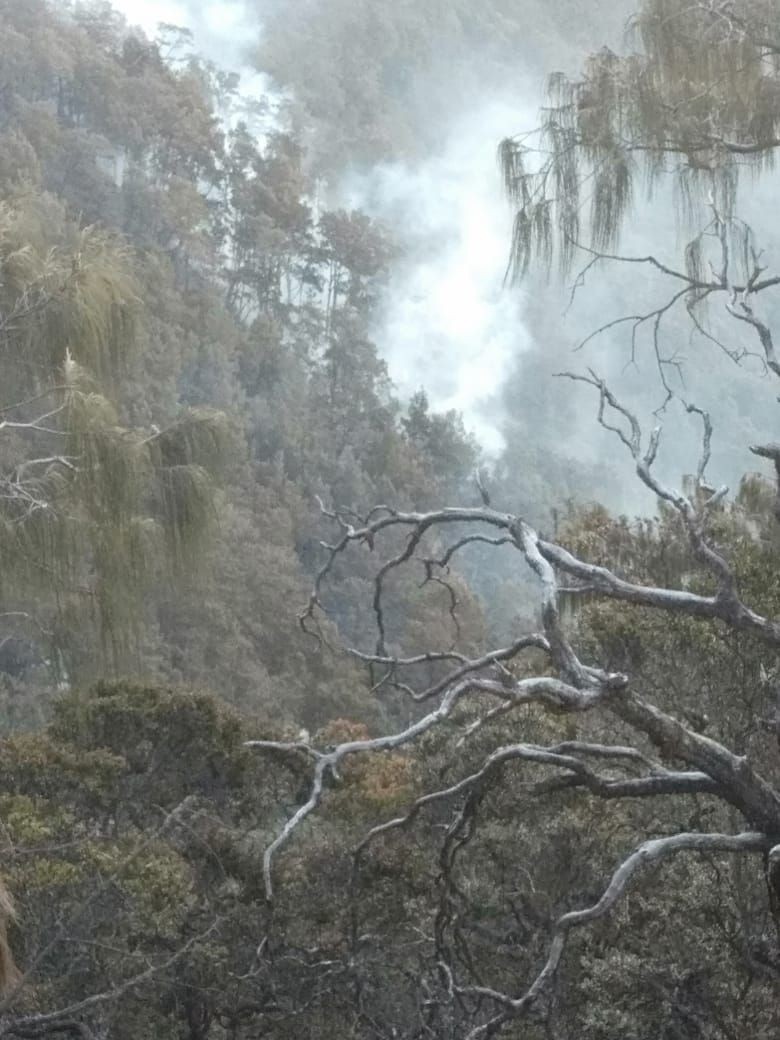 Kebakaran Arjuno Tak Kunjung Padam, BPBD Akan Gunakan Waterboombing 