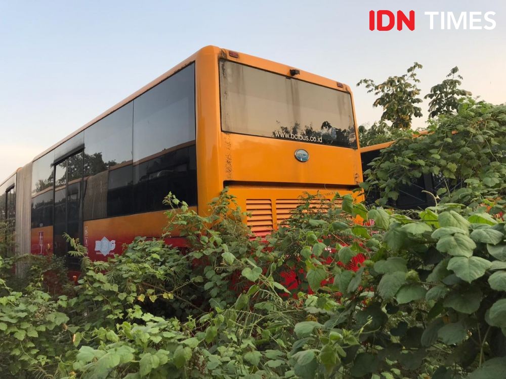 Selain di Bogor, Bus Transjakarta  Mangkrak Juga Ada di Tangsel