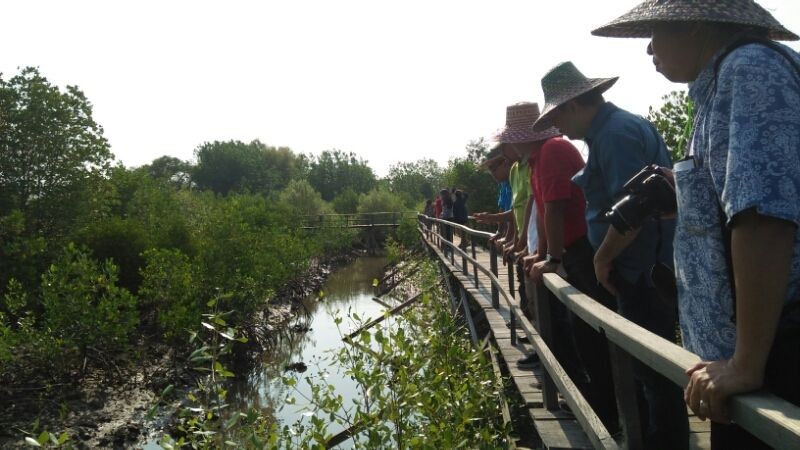 Diduga Rusak Hutan Mangrove, PT TBS Malah Somasi Ikaperta