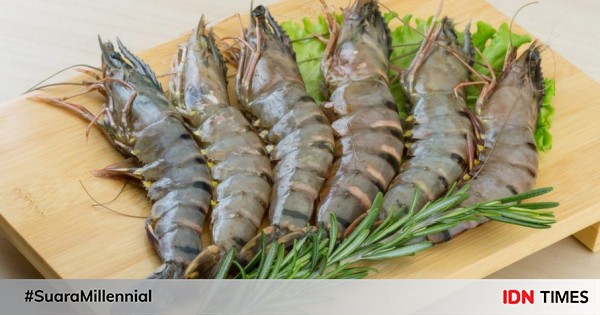 Jenis Udang Laut Yang Bisa Dimakan