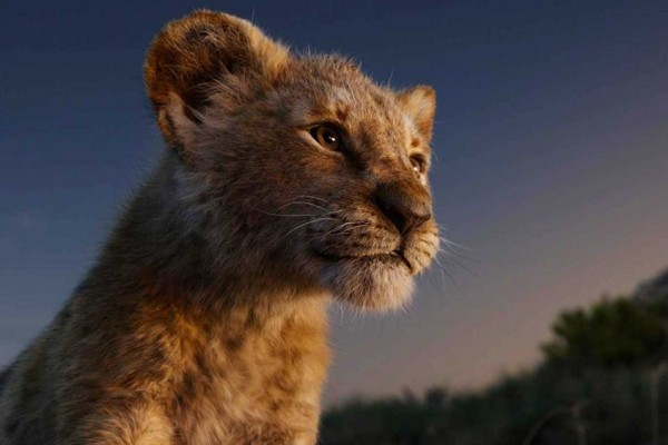 Kenali Fakta Ilmiah 7 Hewan Paling Unik Di The Lion King Selain Singa