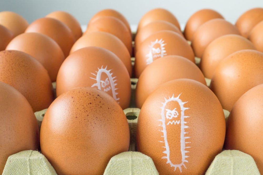 Ahli Gizi UGM Tak Sarankan Konsumsi Telur Mentah, Ini Penjelasannya