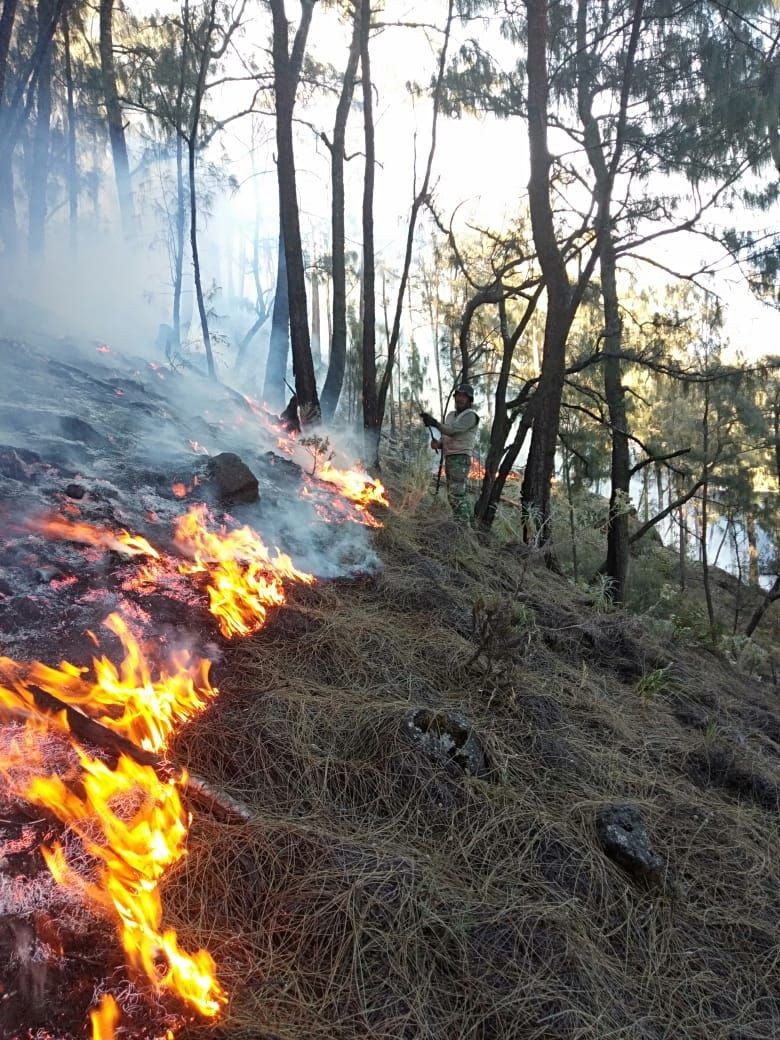 Kebakaran Gunung Arjuno Meluas, 7 Titik Api Jadi Target Water Bombing