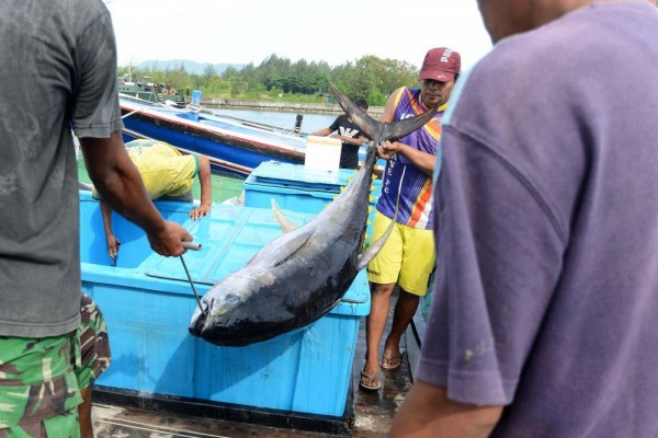 77 Koleksi Ikan Air Laut Semarang Gratis Terbaik