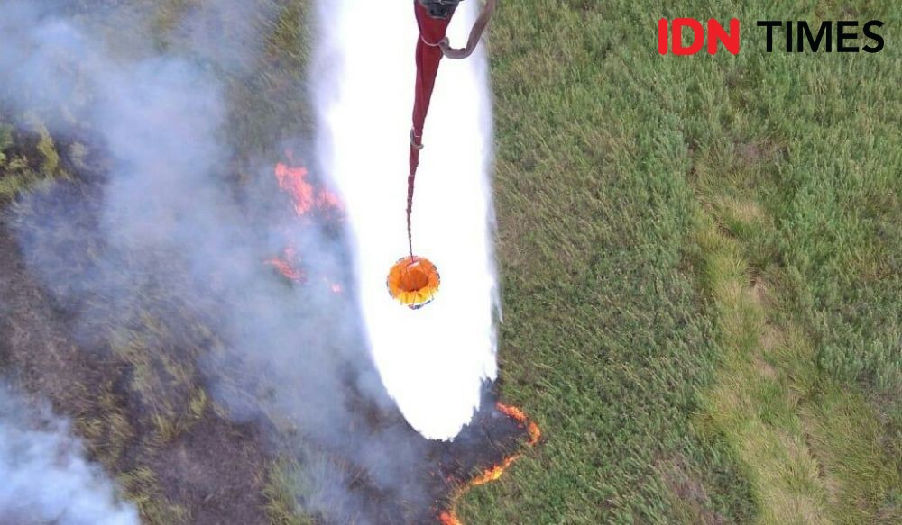 Gawat! Hanya Empat hari, 78 Hektare Lahan di Sumsel Hangus Terbakar