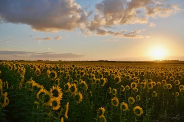 8 Tempat Wisata Ini Ditutup karena Ulah Pengunjung yang Merusak