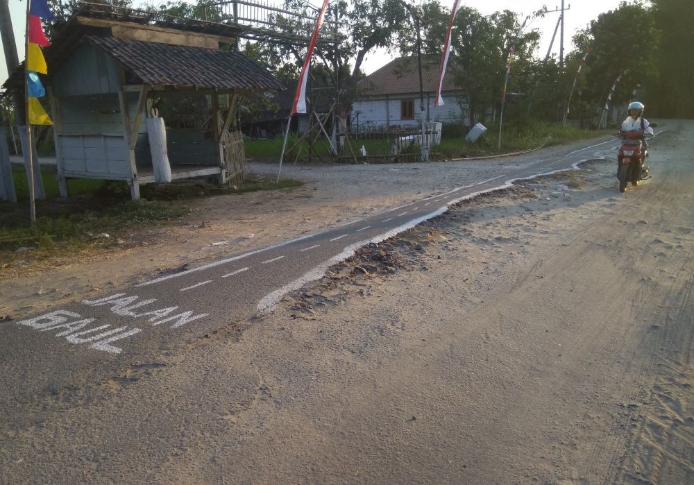 Tak Kunjung Diperbaiki, Warga Hias Jalan Madiun-Bojonegoro