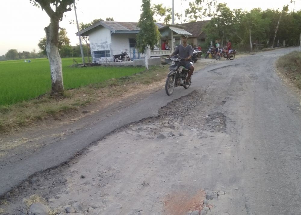 Tak Kunjung Diperbaiki, Warga Hias Jalan Madiun-Bojonegoro