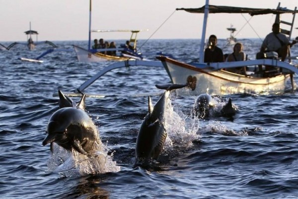 10 Rekomendasi Tempat Wisata Terindah di Tidore yang Wajib Dikunjungi