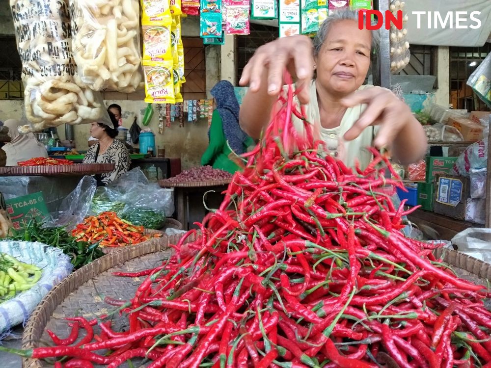 Menangguk Untung dari Jualan Cabai Busuk Selama Kemarau