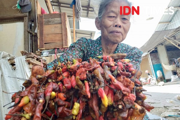 Menangguk Untung dari Jualan Cabai Busuk Selama Kemarau