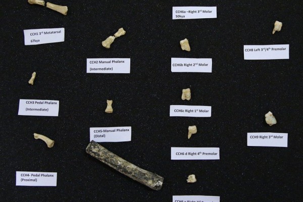 9 Fakta Homo Iuzonensis, Manusia Purba Spesies Baru
