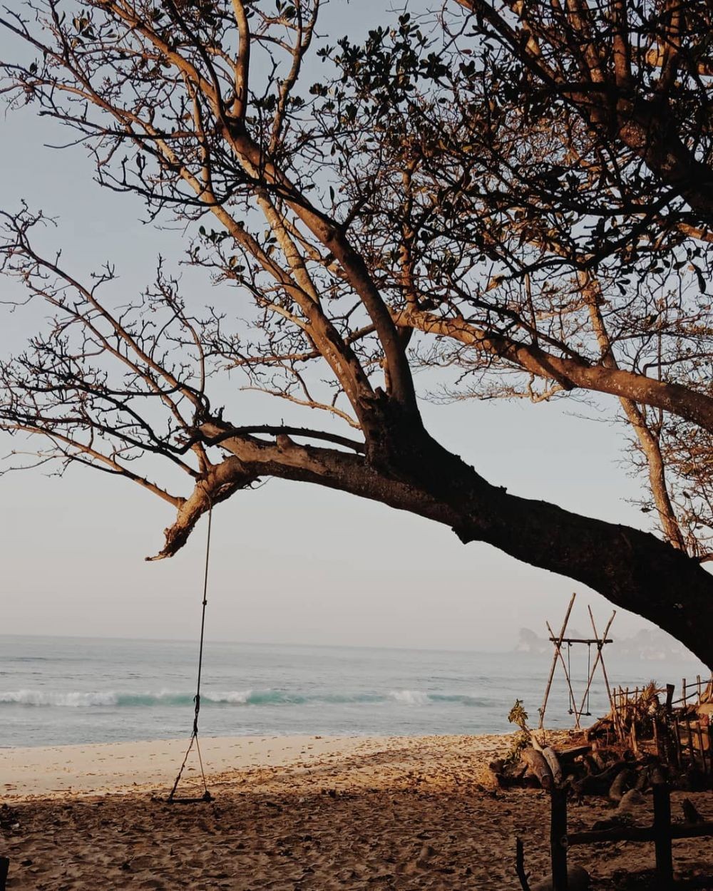 Pantai Sendiki Malang Lokasi Rute Dan Harga Tiketnya 