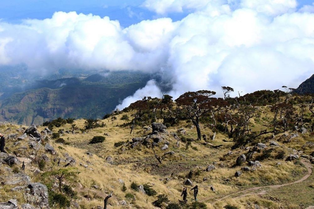 Rayakan HUT RI, Dua Pendaki Meninggal di Gunung Bawakaraeng