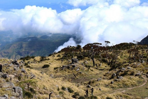 Gunung Bawakaraeng: Info Rute, Tiket, dan Aktivitas Seru