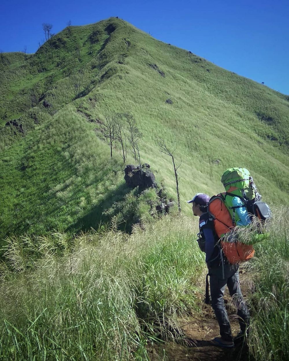 100 Hektar Lahan di Gunung Arjuno Dilalap Si Jago Merah