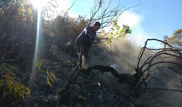 Jokowi Meradang, 4 Pejabat Ini Rame-Rame Pantau Kebakaran Hutan Riau