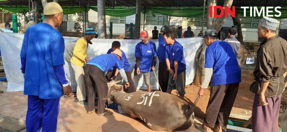 Pandemik, Penyembelihan Hewan Kurban di Semarang Pakai Cara Kilat 