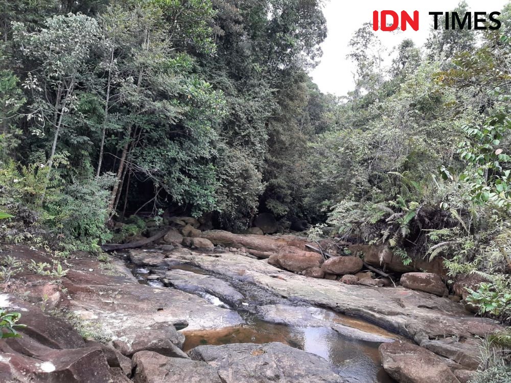 Lagi, Kerangka Manusia Ditemukan di Hutan Sulawesi Utara