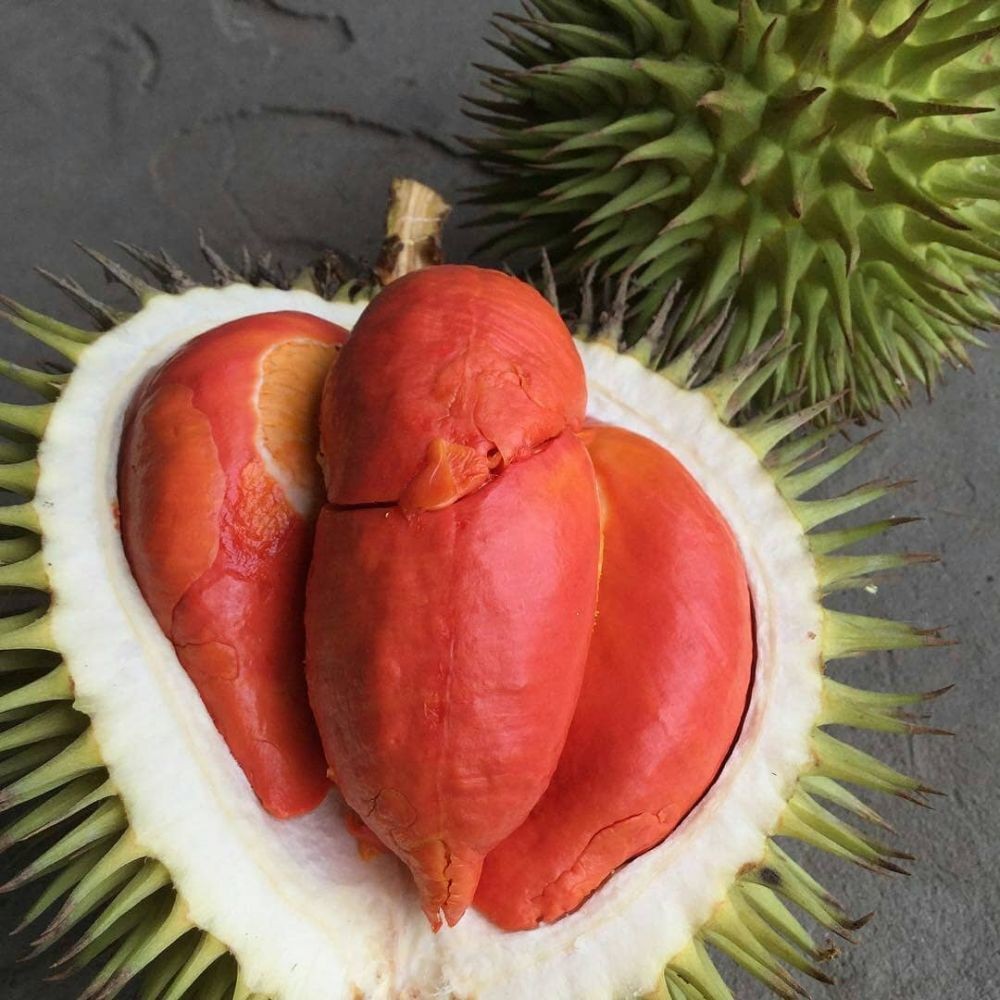 10 Jenis Durian Yang Anda Patut Tahu Selain Musang King Eztakaful