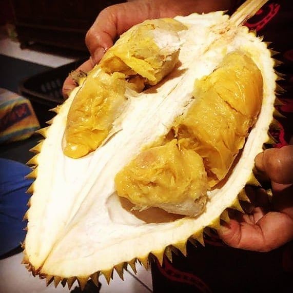 10 Jenis Durian Paling Populer Ini Wajib Masuk List Kulineranmu
