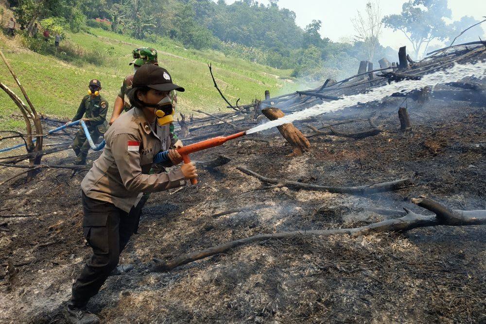 725 Ribu Hektare Hutan dan Lahan Jateng Terbakar, Terbanyak di Gunung Sumbing