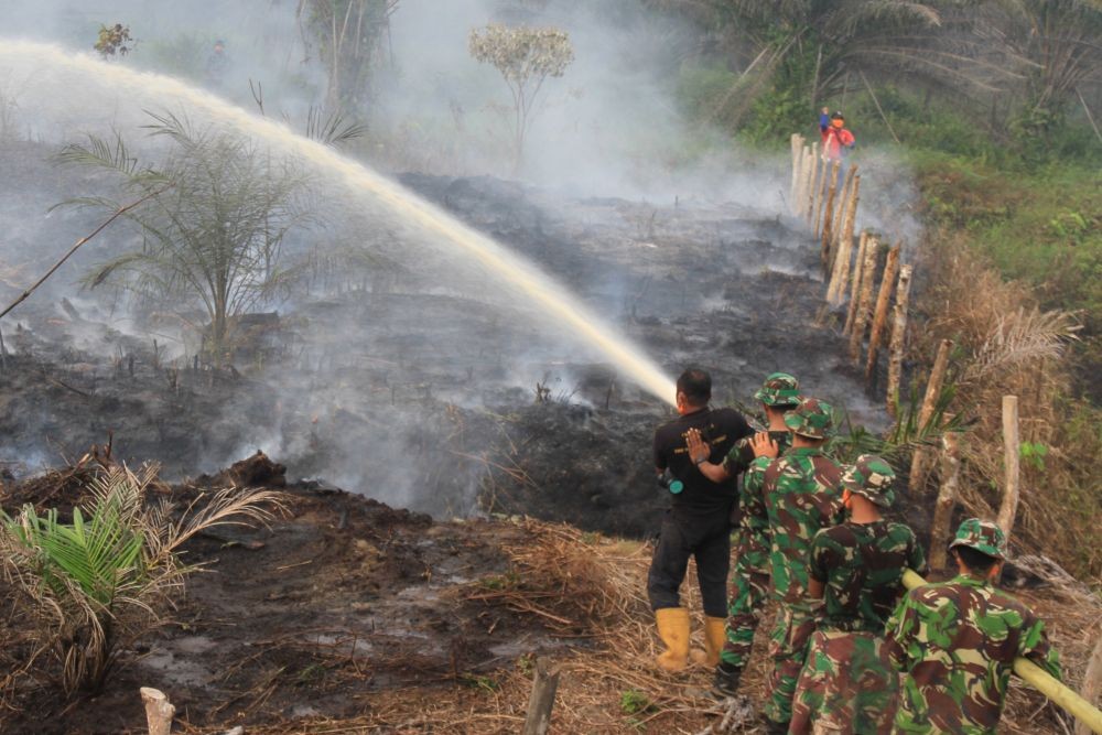 Luas Hutan yang Terbakar di Gunung Sumbing Lebih dari 40 Hektare