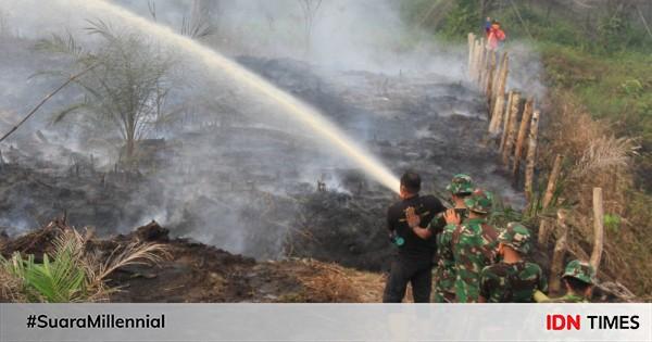 Luas Hutan Yang Terbakar Di Gunung Sumbing Lebih Dari 40 Hektare