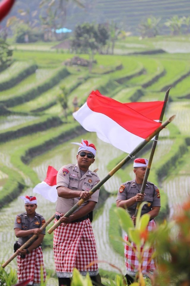 Polda Bali Bentangkan Kain Merah Putih Sepanjang 1945 meter di Sawah